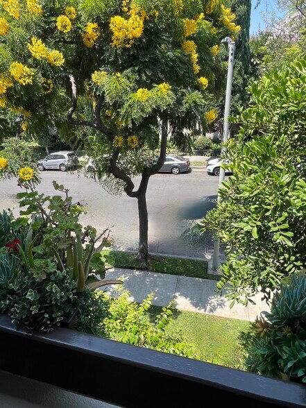 Building Photo - 950 N Kings Rd