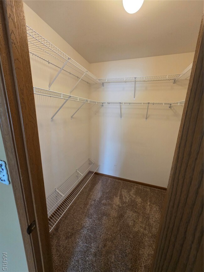 Building Photo - 3935 Rhine Ct