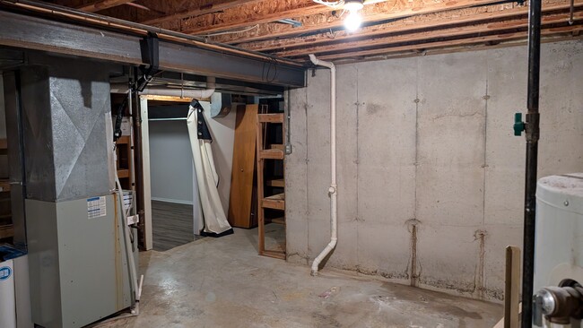 Plenty of storage space in Basement - 5863 Woodland Dr