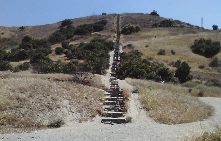 Building Photo - 3477 Carmona Ave