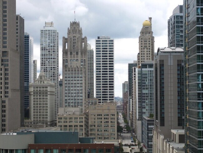 Building Photo - 474 N Lake Shore Dr