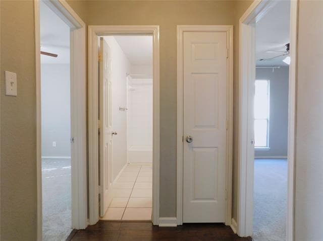 Building Photo - 3209 Lance Ln