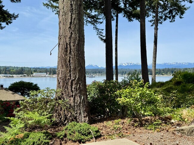 Building Photo - Stunning completely remodeled waterfront P...