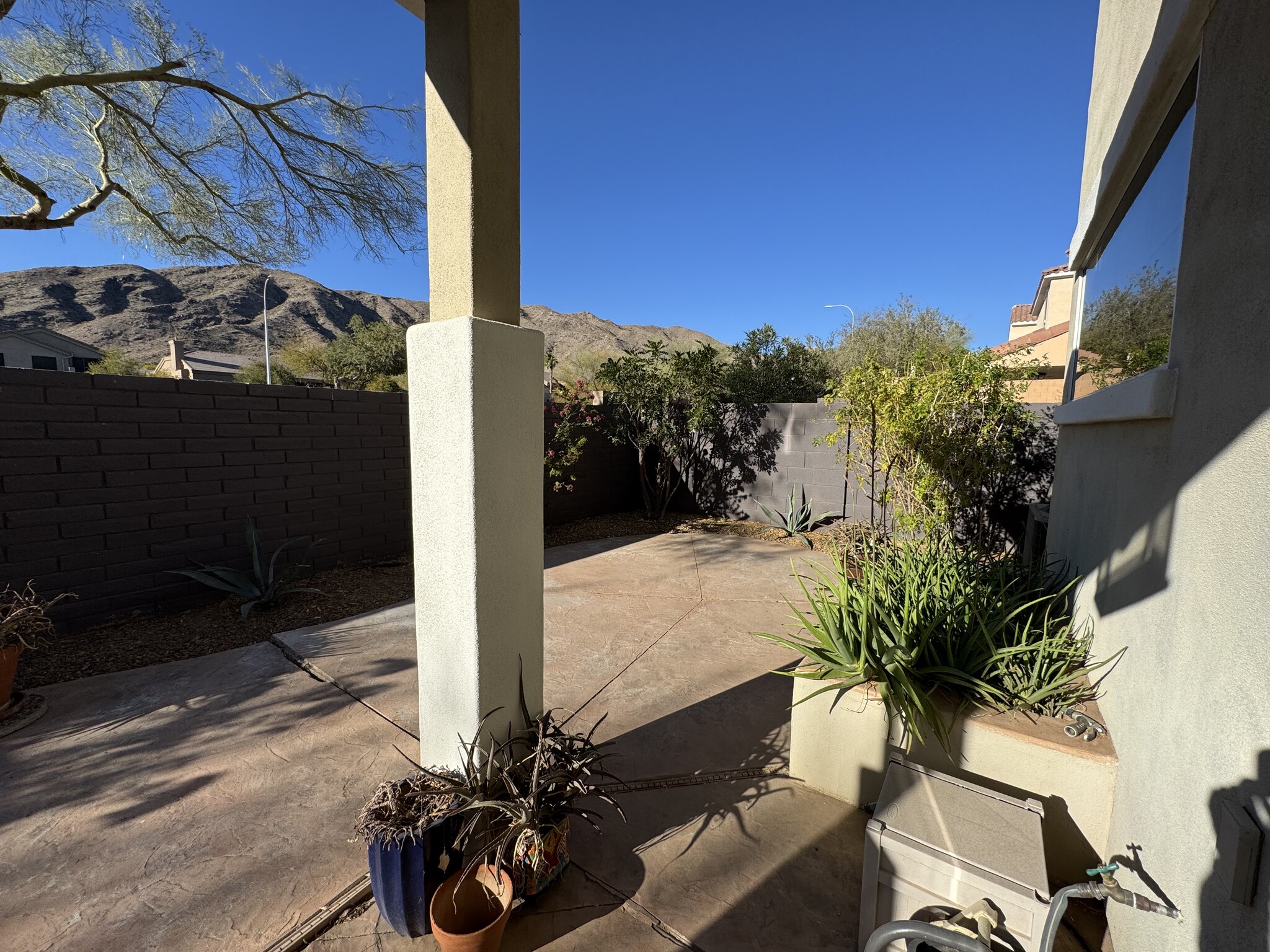 Covered Patio - 524 W Mountain Sage Dr