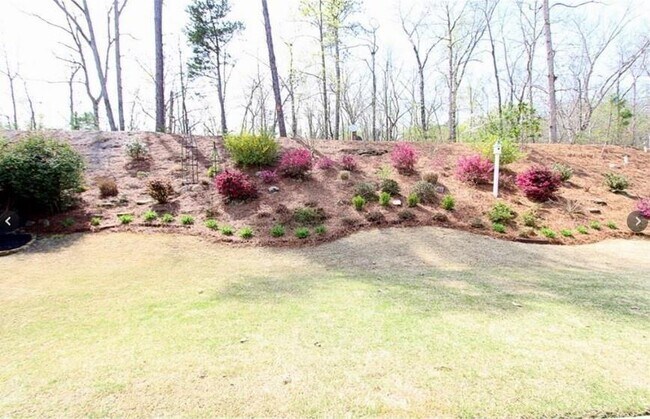 Building Photo - 8245 Majors Glen Ct