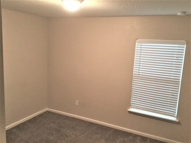 Building Photo - 12607 Wooded Bluff Ct