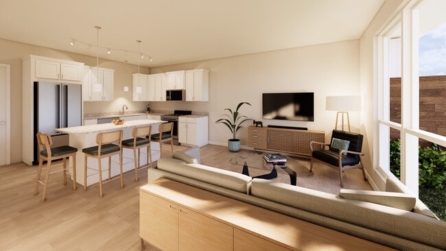 Kitchen and Living area
