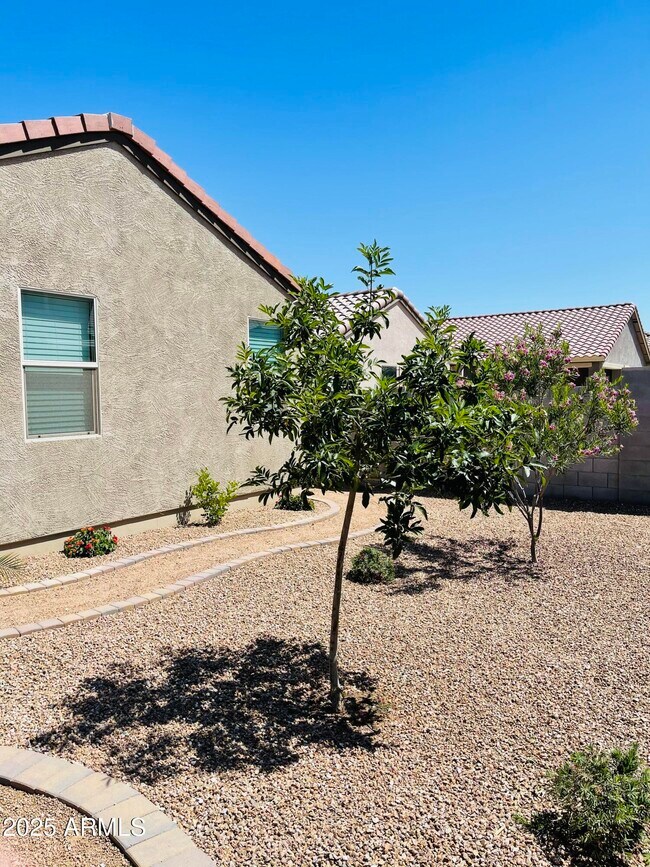 Building Photo - 983 Capulin Trl