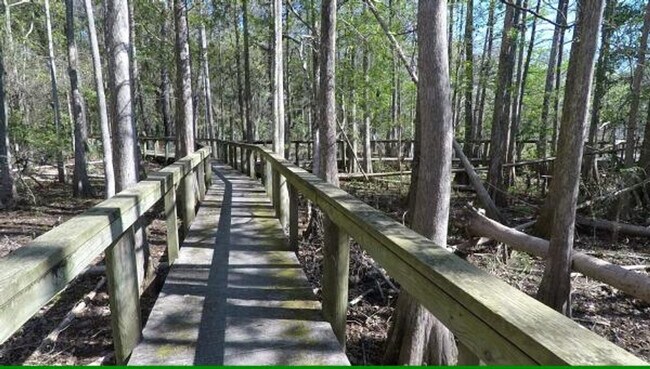 Building Photo - 31178 Park Ridge Dr