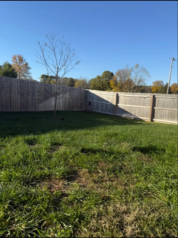 Building Photo - 1469 N Lyon Ave