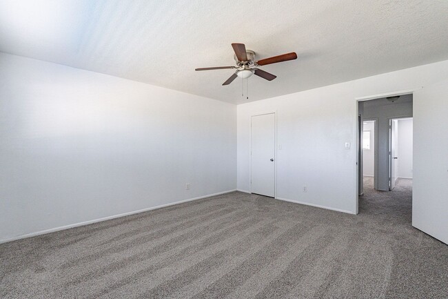 Building Photo - NEW CARPET!