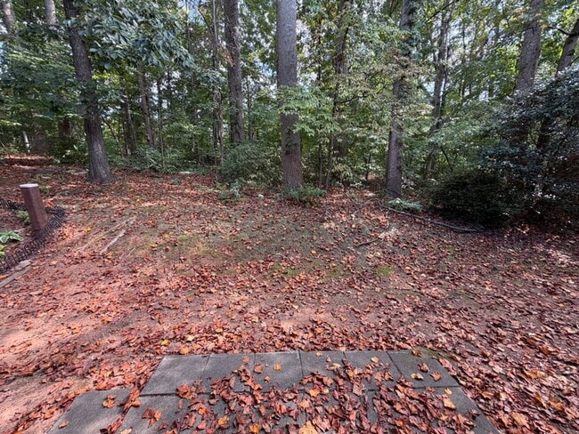 Building Photo - 243 Olde Vineyard Ct