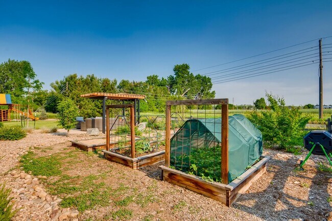 Building Photo - Spacious 5 BDR Family Home in Niwot