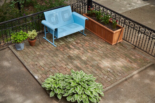 Front Garden - 21 Orient Avenue