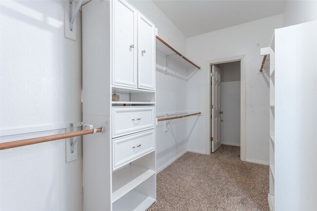 Building Photo - 4905 Carrotwood Dr