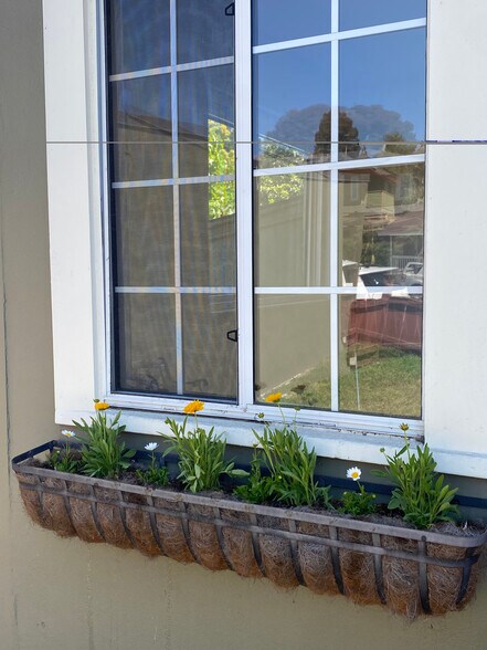 Building Photo - 2103 Island Ave