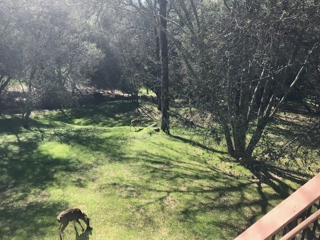 Building Photo - Beautiful Lake Wildwood Home with private back yard.