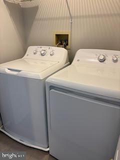 Building Photo - 4908 Tall Cedar Ct