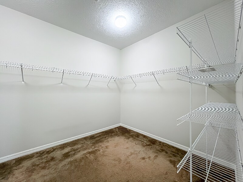 Building Photo - 3513 Bunchberry Way