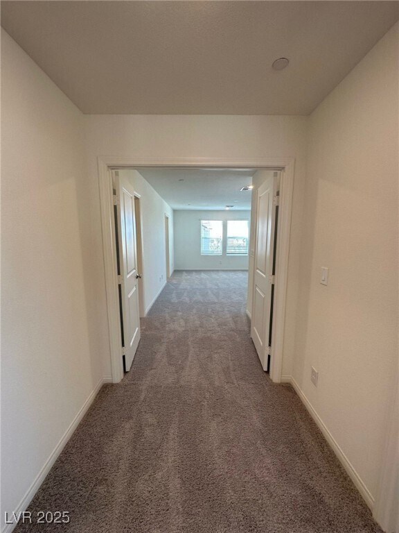 Building Photo - 3620 Bitonto Ln