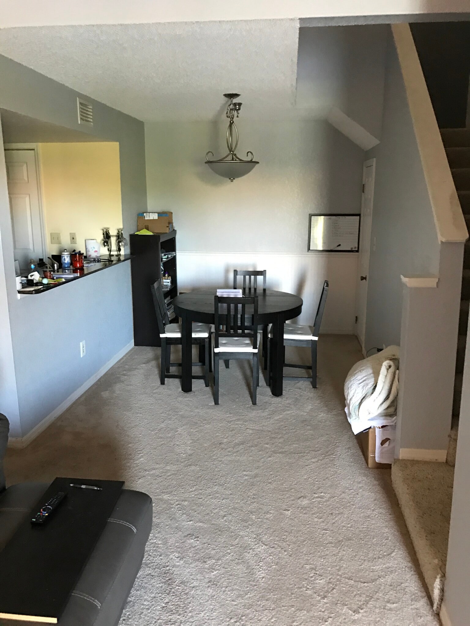 New Rug - 10263 Gandy Blvd N