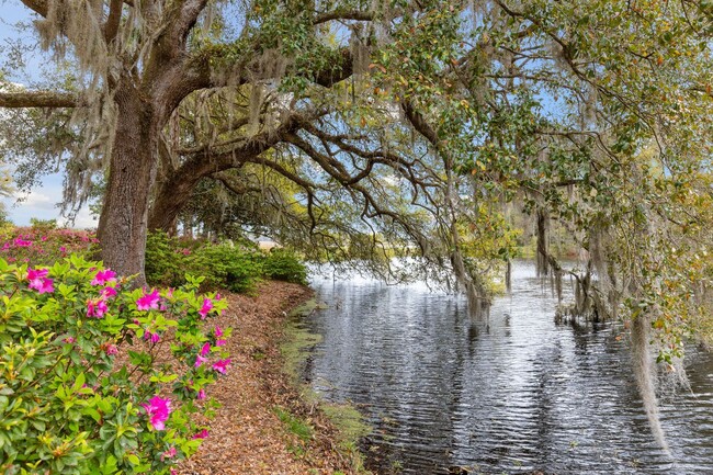 Building Photo - Gorgeous Furnished Estate on the Ashley River