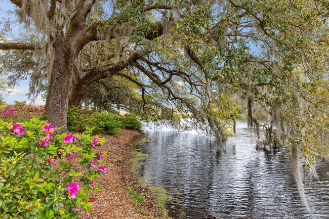 Building Photo - Historic Plantation Property on the Ashley River