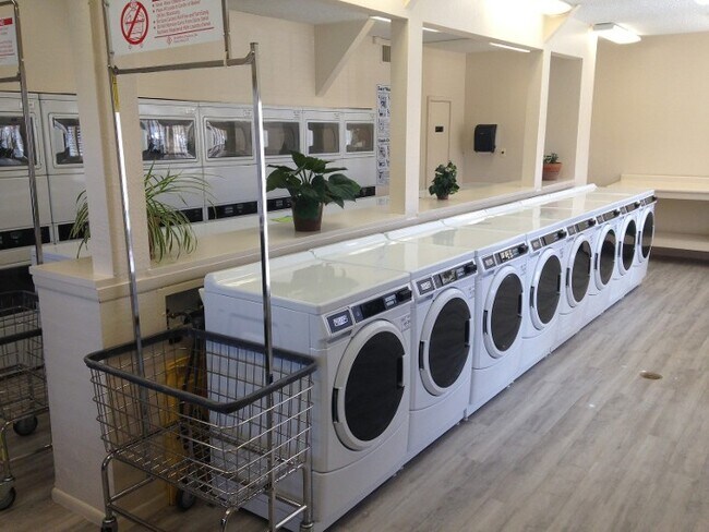 Building Photo - 941 Calle Mejia