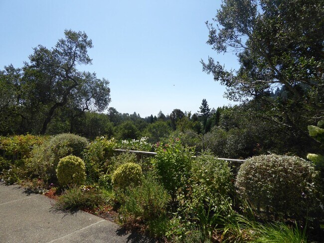 Building Photo - SPACIOUS AND SECLUDED THREE BED / TWO BATH HOME IN ROSS WITH POOL