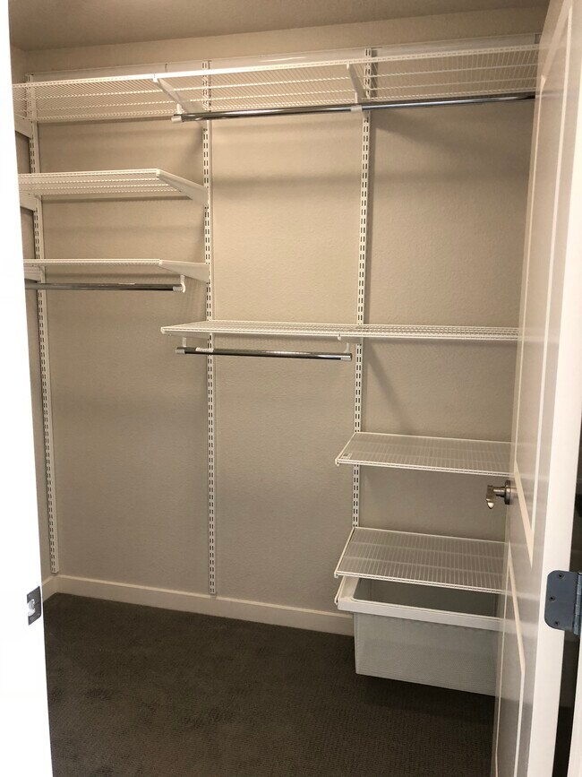 Master closet - 1375 Lick Ave