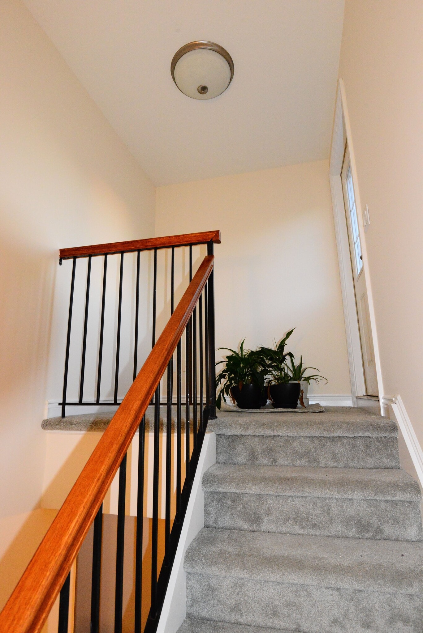 Rooftop Terrace access - 100 Sheldrake Pl