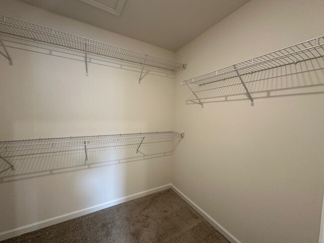 Building Photo - 2320 Horseshoe Cir