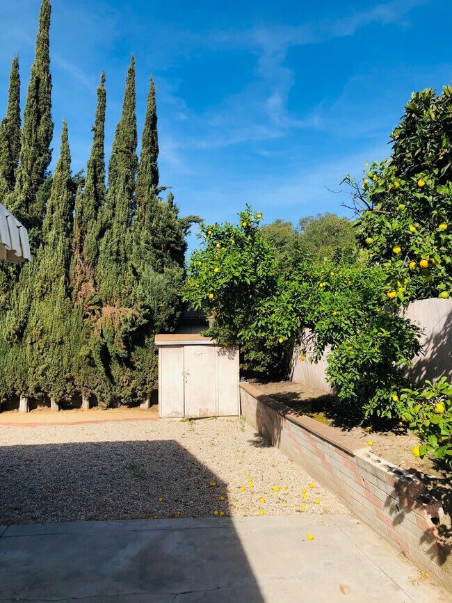 Building Photo - 6 Bedroom 3 Bathroom House  8 ppl MAX