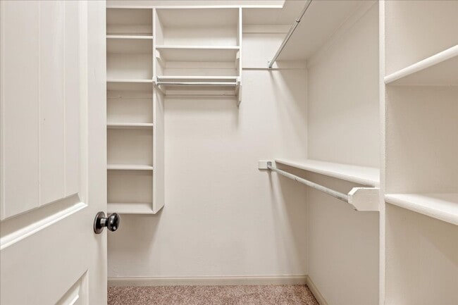 Building Photo - Gorgeous Executive Home - Open Plan - Stor...