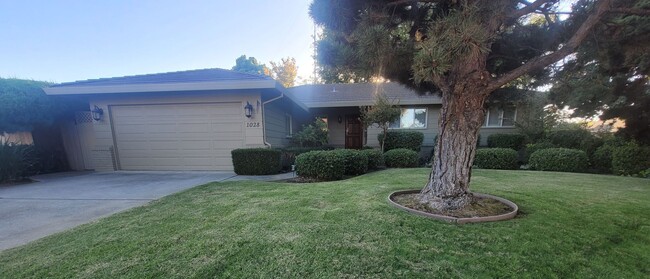 Building Photo - Beautiful home with manicured yards. Lands...