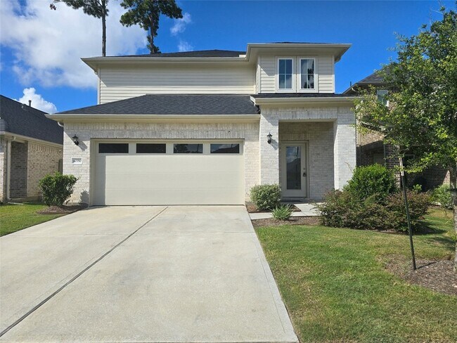Primary Photo - 40350 Bay Warbler Wy