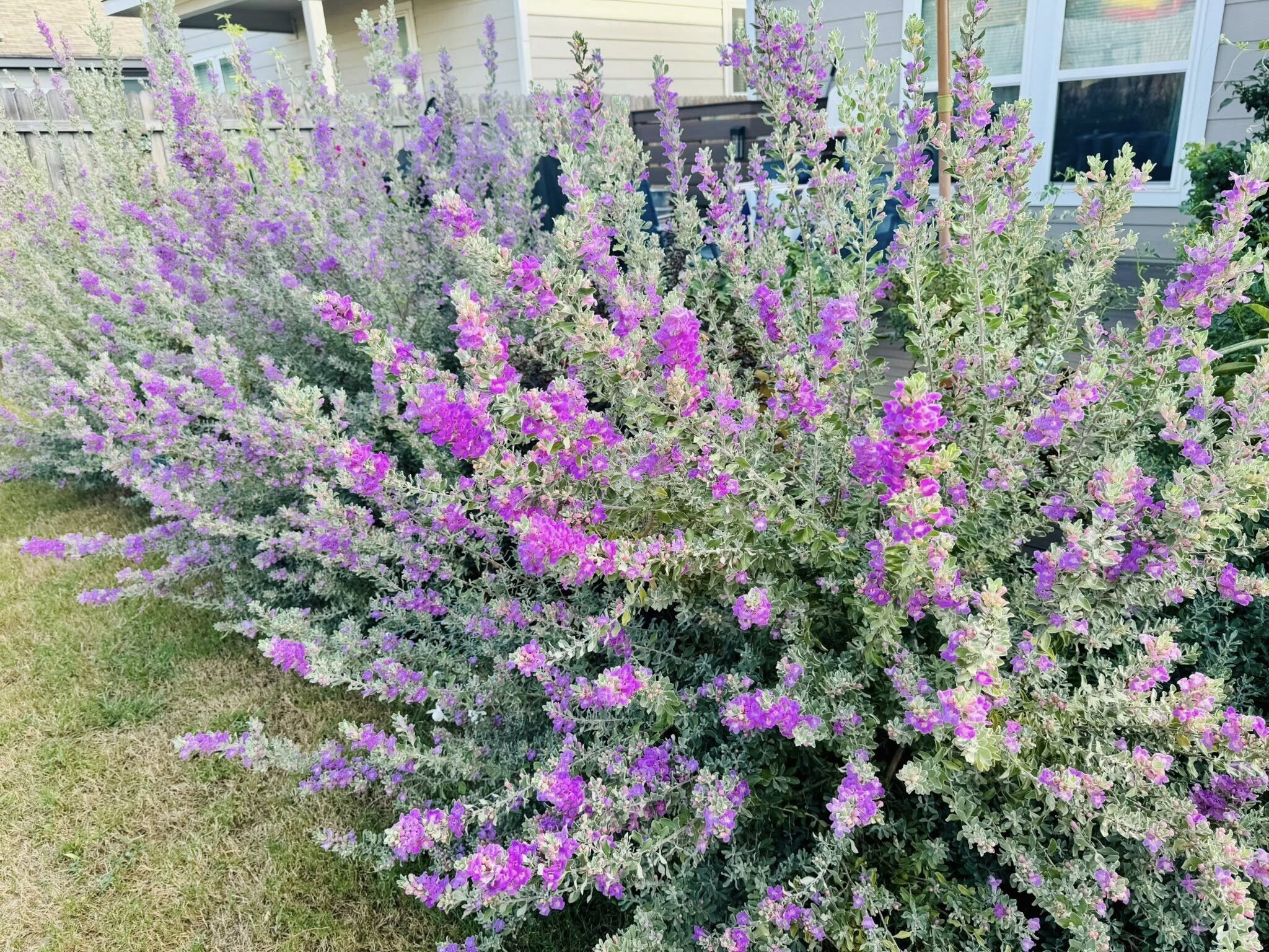 Building Photo - 5035 Bay Breeze