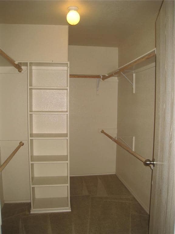 Building Photo - 236 Moonstone Dr