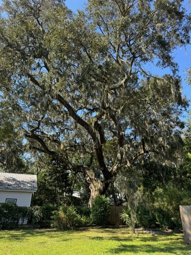 Building Photo - Thunderbolt Charm Meets Modern Comfort