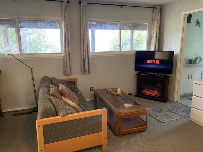 electric fireplace / heater. Netflix included with utilities - 819 Villa Vista St