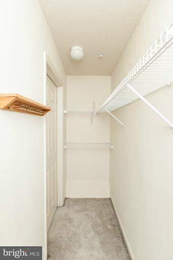 Building Photo - 2446 Golders Green Ct