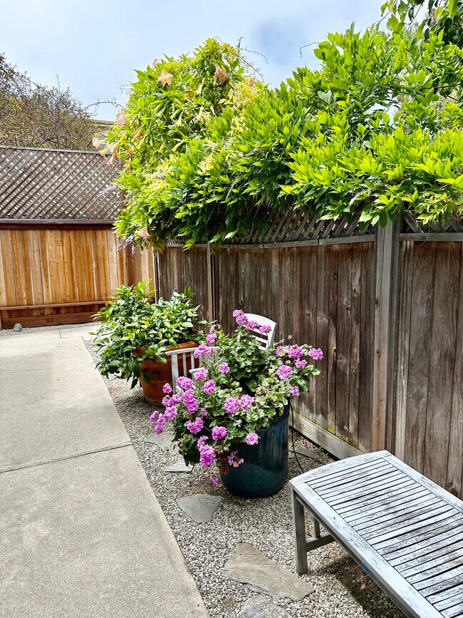 Building Photo - 828 7th St