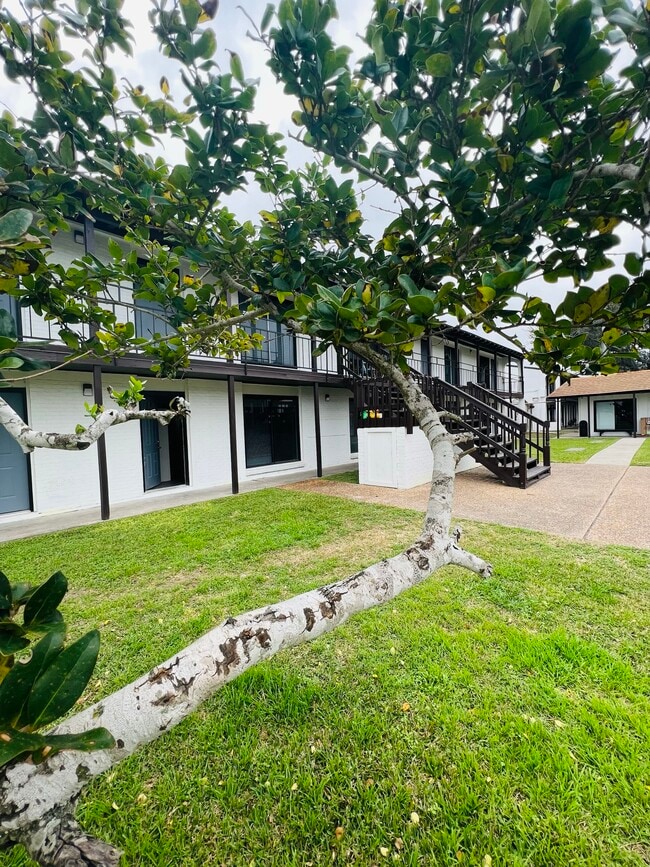 Building Photo - Spanish Oaks Apartments