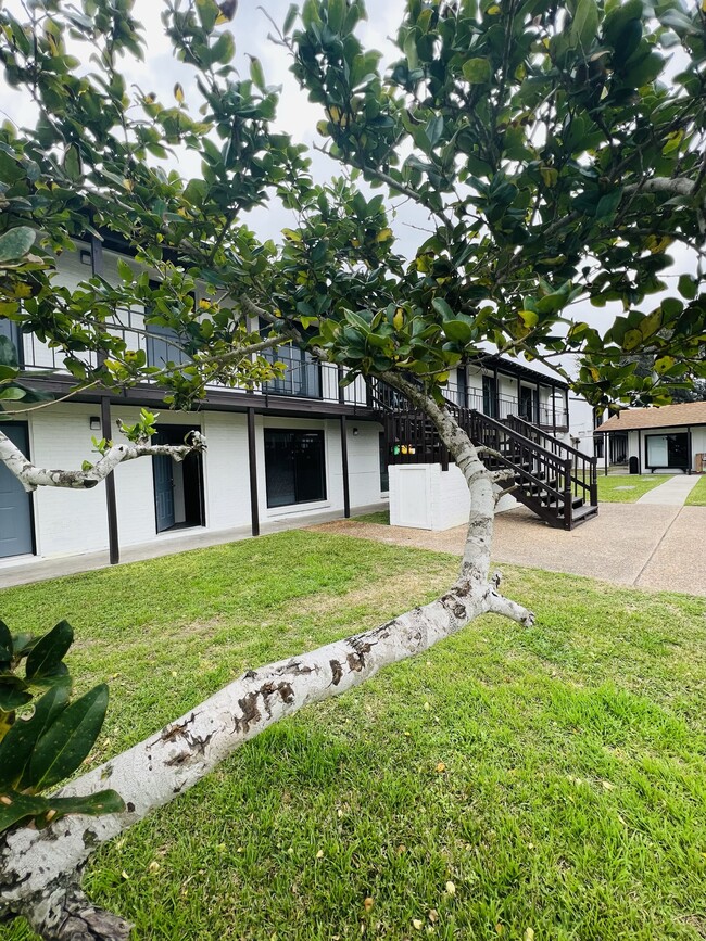 Primary Photo - Spanish Oaks Apartments