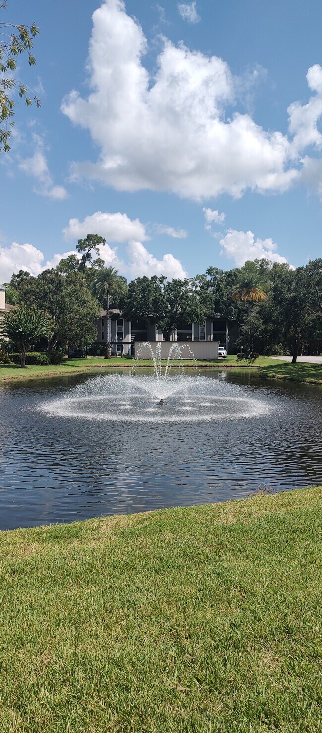 Building Photo - 3399 Mermoor Dr