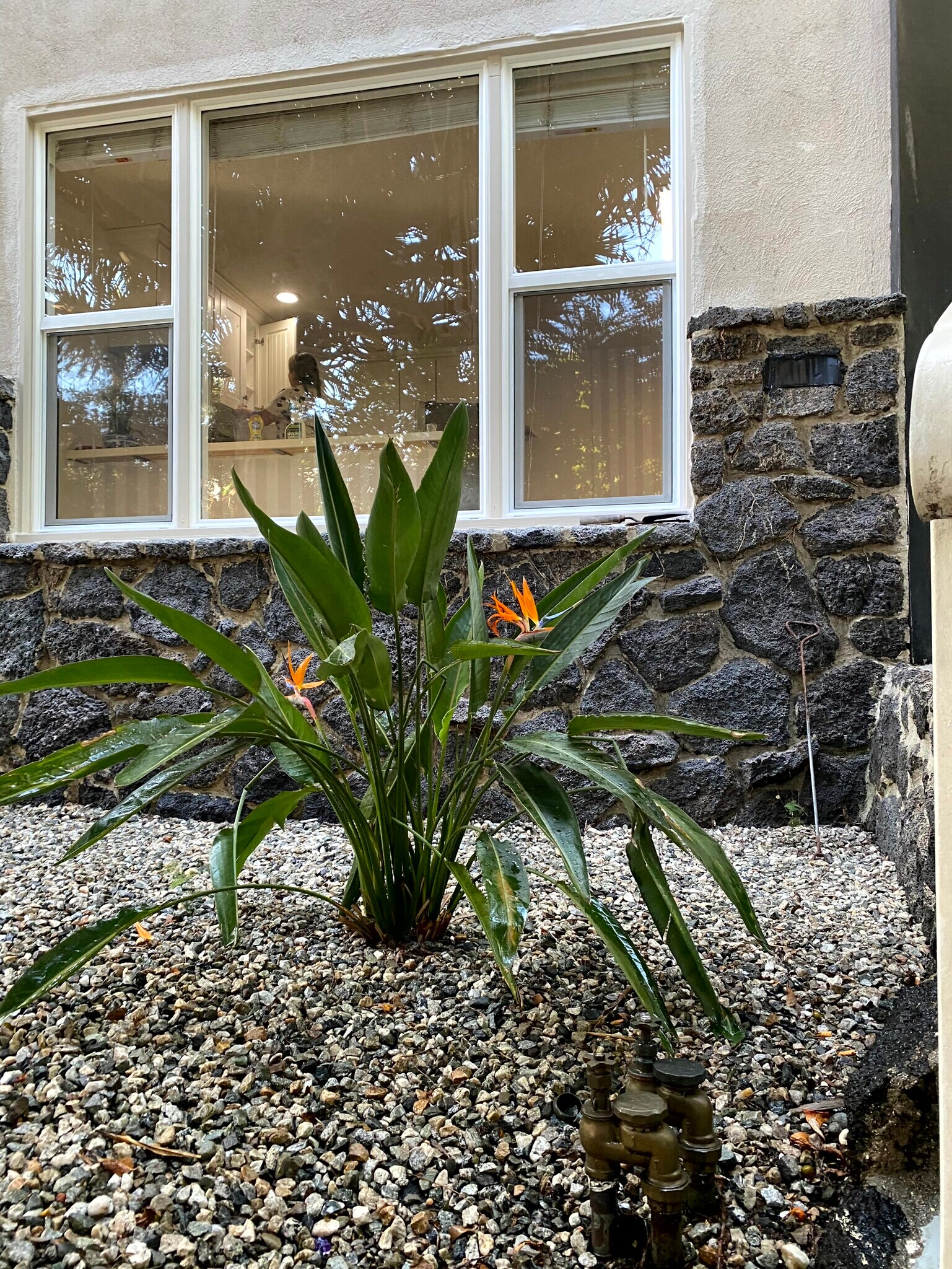 Building Photo - 7602 Lexington Ave