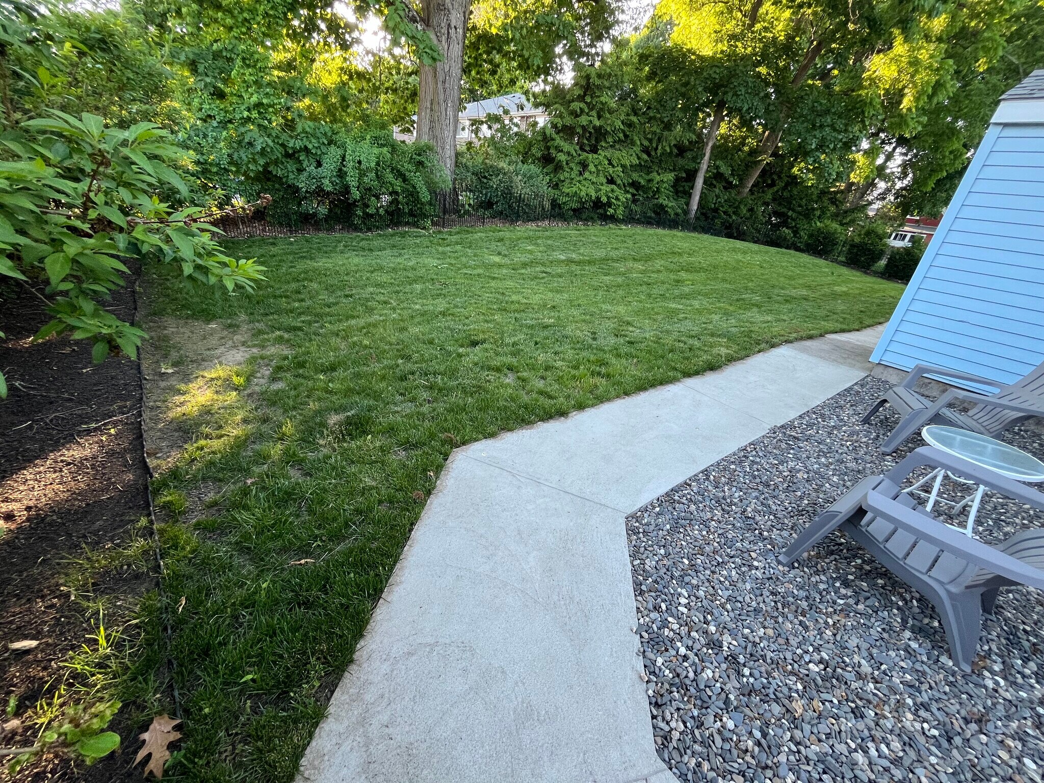Backyard - 294 Humphrey St
