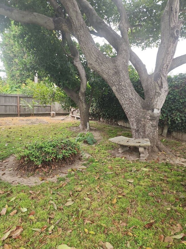 Building Photo - Coming Soon Charming 2-bedroom, 1-bathroom house with 2 car garage and spacious yard