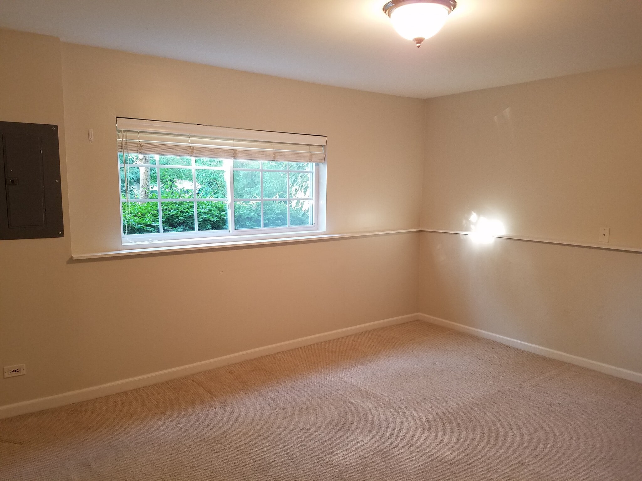 Basement - garden level - 135 Patrick Ave