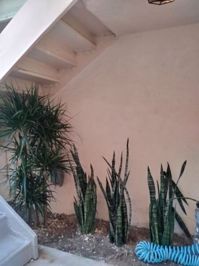 Walkway to Stairs, Garage and Laundry - 206 15th St
